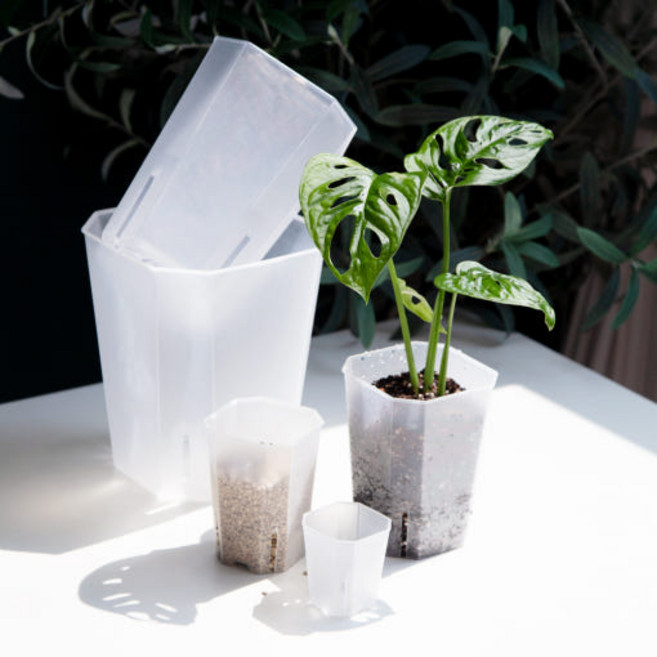 호르투스가든 사각 투명 플라스틱 롱슬릿화분 삽목분 과습방지, 1호 5cm