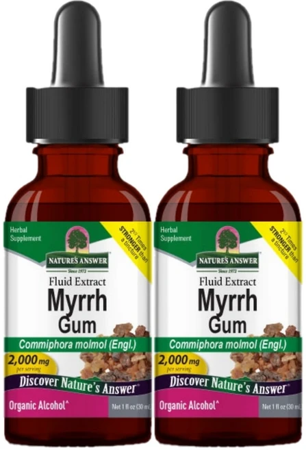 네이처스앤서 고흡수 몰약 검 2000mg 액상 액체, 2개, 30ml - 쿠팡