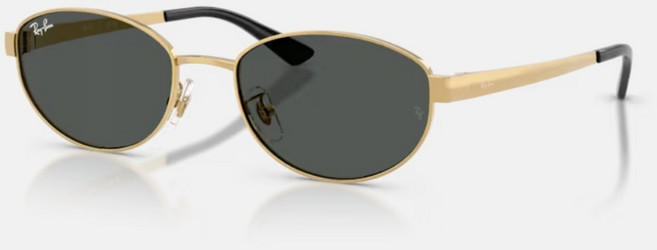 Ray-Ban 雷朋 RB3774D 橢圓金屬太陽眼鏡 經典款