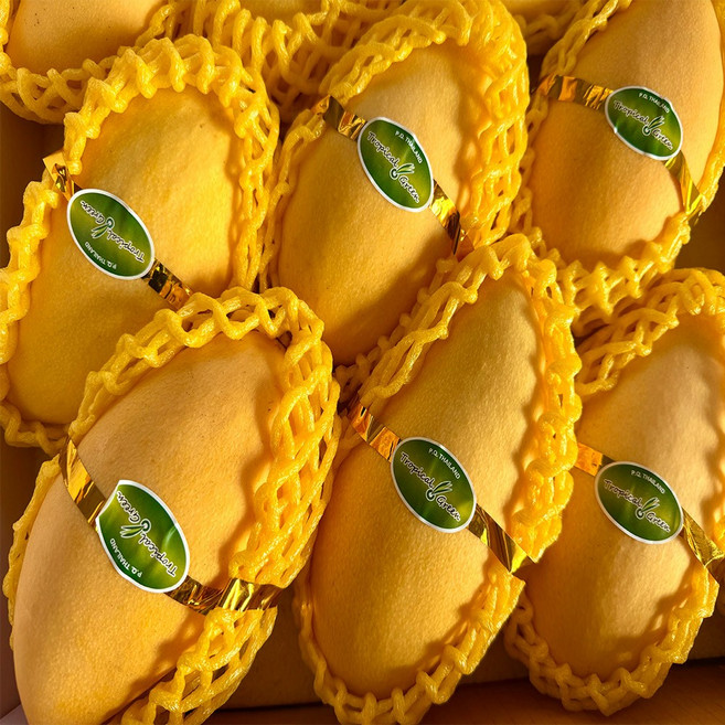 스마일프레쉬 직수입 태국망고 남독마이 무지개망고 골드망고, 1개, 태국망고 5kg 10-16과