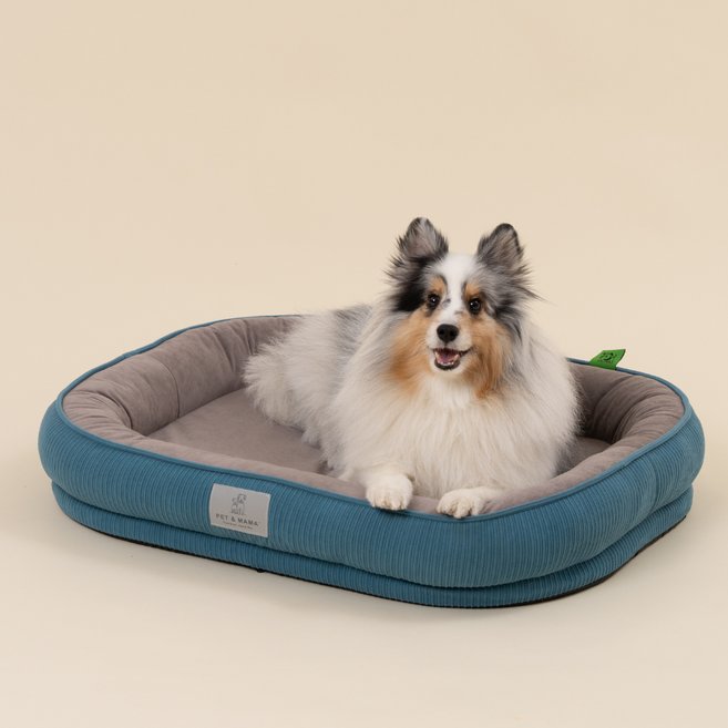 펫앤마마 반려동물 꿀잠 방석, Blue(블루), 1개