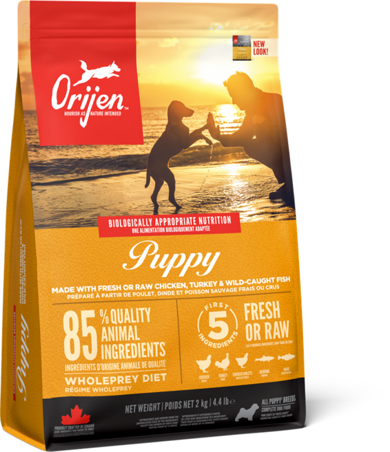 오리젠 퍼피, 1개, 2kg, 칠면조+청어