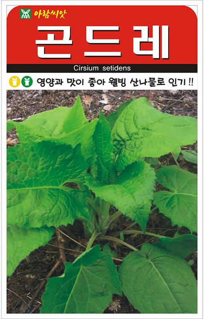 곤드레 씨앗 종자 씨, 3개