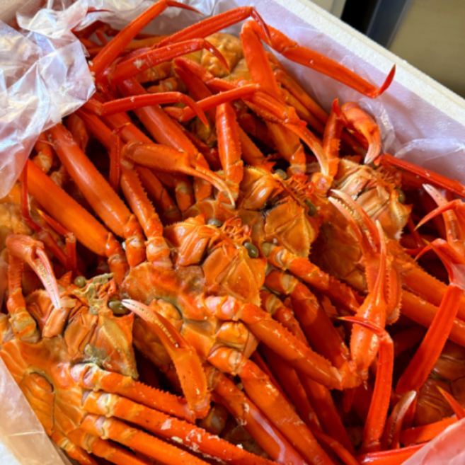 국내산홍게 [재구매율1위] 프리미엄자숙홍게 제철홍게 수율최고, 1개, 3kg