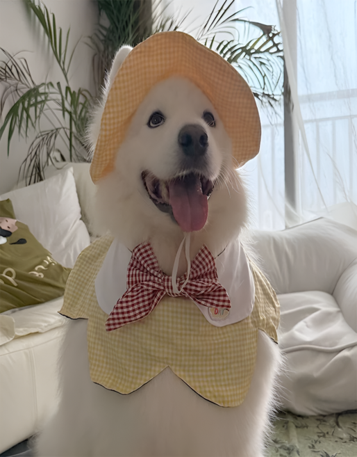 [노아르] 강아지 체크 모자 망토 세트 귀여운 반려견 여름 외출복 케이프 스카프 코스튬 소형견 대형견, 1개, 옐로우