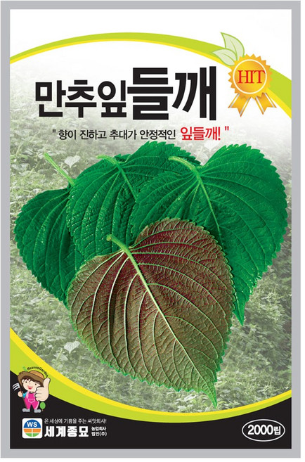 세계종묘 만추잎들깨 씨앗 2000립, 1개