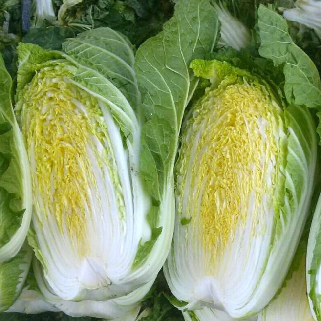 국내산 절임배추 고랭지 명품 해썹인증 괴산 절인배추, 배송요청사항에 도착일 기재, 1박스, 20kg