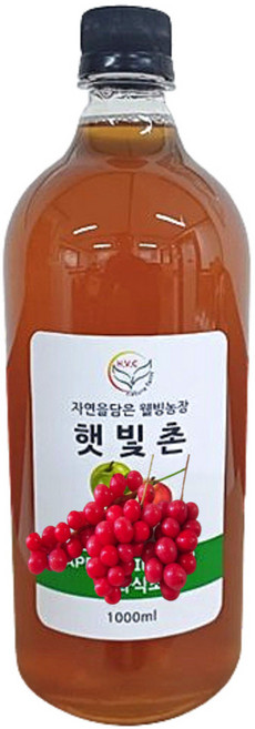 오미자식초 천연 자연발효 수제 음용식초, 1개, 500ml