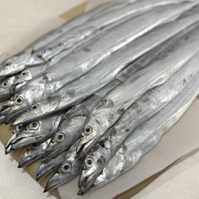 자연애수산 제주 생물 은갈치1박스(20미4~5kg내외), 1, 단품