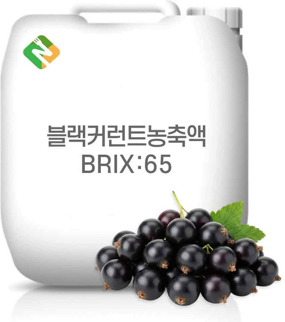 블랙커런트농축액 65Brix 200g 샘플, 1개