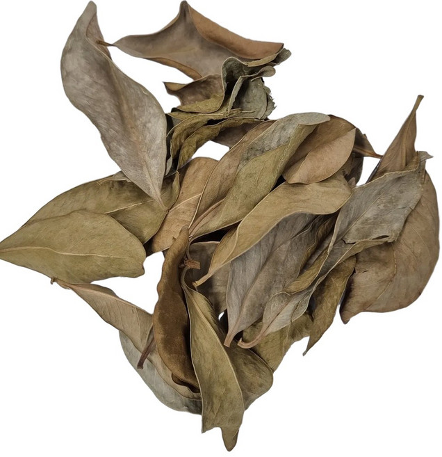 엄선한 국내산 구아바잎(400g), 400g, 1개