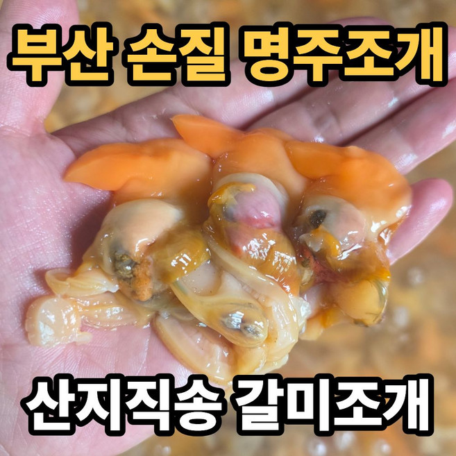 3위 - 부산 완전손질 갈미조개살 국산 명주조개살, 1박스, 300g