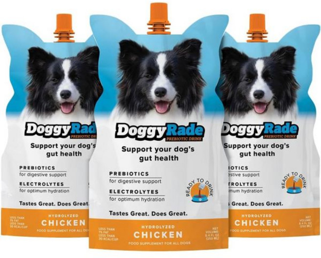 강아지 유산균 영양제 다이제스트 DoggyRade – 개 스포츠 음료 (프리바이오틱 개용 이소톤 음료) | 전해질 영양소 아미노산 빠른 수분 공급 + 저칼로리 단순 물 이상!, DoggyRade (250ml x 3)