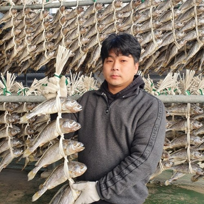 영광 법성포 보리굴비 5마리 10마리, 5개, [가정용] 특대 31~32cm