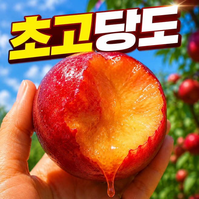 [품질보증] 산지직송 프리미엄 고당도 햇 자두, 1박스, 1kg