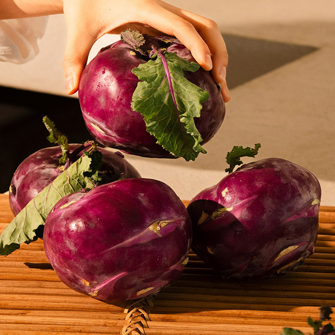 농부곳간 제철 채소 제주도 콜라비 특품, 콜라비 3kg, 1개