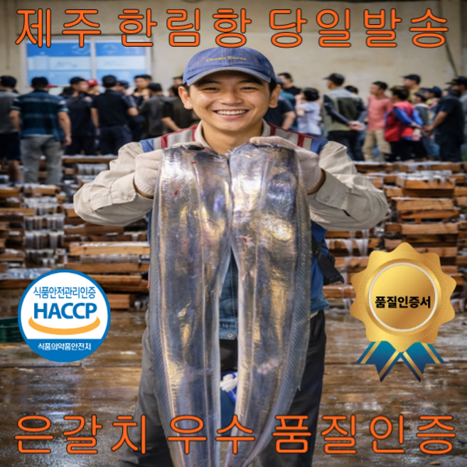 제주 직송 제주 은갈치 5마리 1.5kg내외 손질 토막, 1개, 제주 은갈치 5마리 (중)