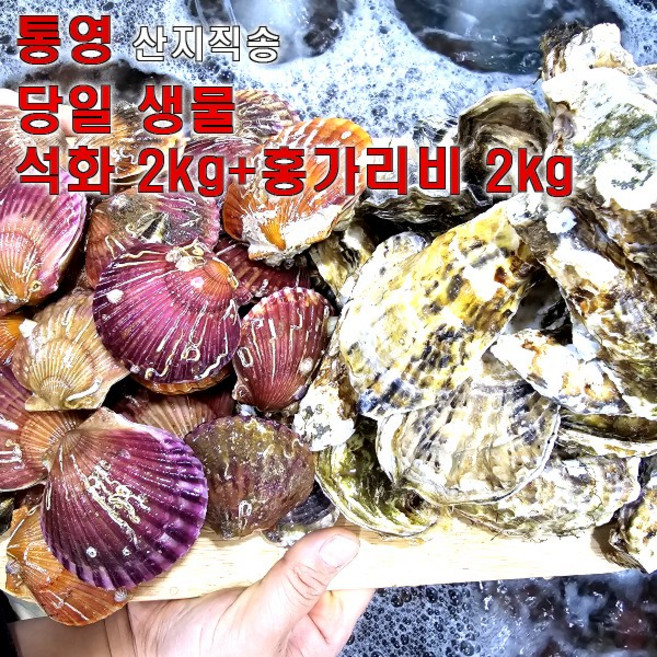 [프리미엄 실패없는 석화+가리비세트] 국내산 통영 석화 가리비 세트 생물 배송, 1개, 로얄 가리비1kg+석화2kg