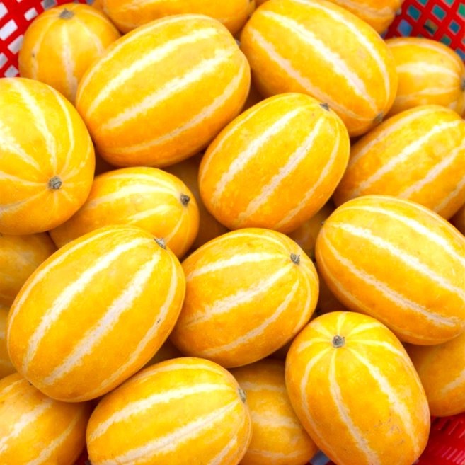 [최상급 원물] 농가직배송 성주 꿀 참외 당도검증 가정용, 1박스, 3kg(로열과)