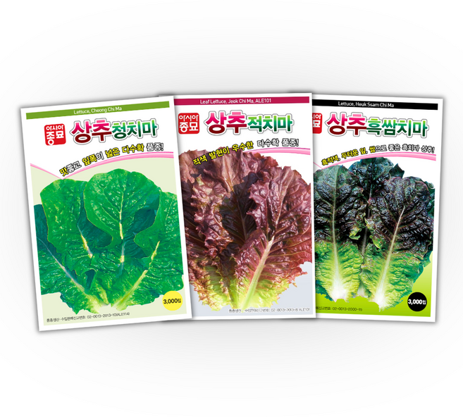 아시아종묘 청치마 적치마 흑쌈치마 상추 씨앗 3종세트 다수확 쌈채소, 1개