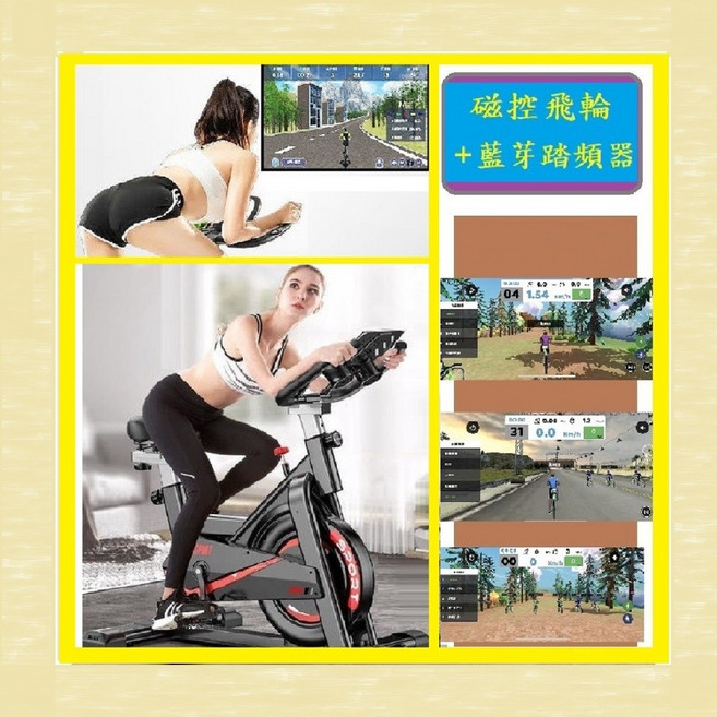 至尊磁控飛輪健身車 送地墊 踏頻器 全包飛輪車 鋁合金踏板 至尊 磁控 + 藍芽APP, 至尊 磁控 + 藍芽APP ***    配送本島, 1個