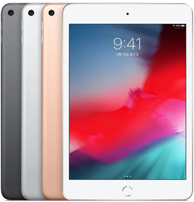 Apple iPad mini 5세대, 스페이스 그레이, 64GB, Wi-Fi