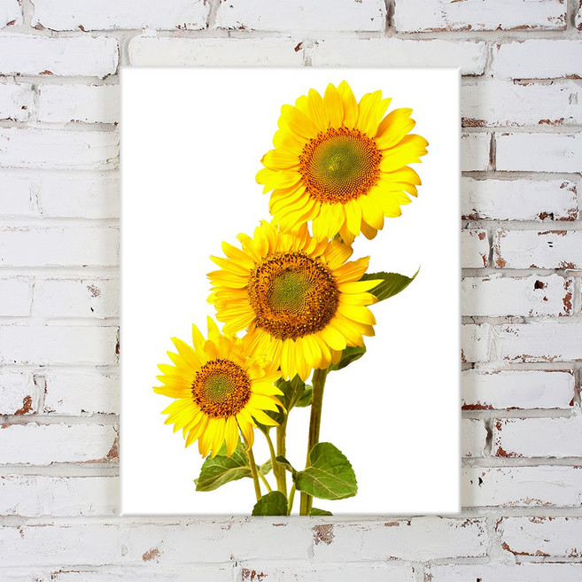 금전운 해바라기 액자 그림 캔버스 돈들어오는 풍수 거실 인테리어 액자 집들이 개업선물, 4.금전운 세송이 해바라기, A.캔버스 12호 [45.5 X 60.6cm]
