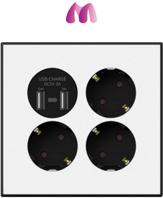 태성전기 틸인스 블랙화이트 USB 2포트+3구 콘센트, 1개