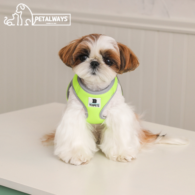 펫올웨이즈 기본형 통풍 강아지 하네스 리드줄 세트, 초록