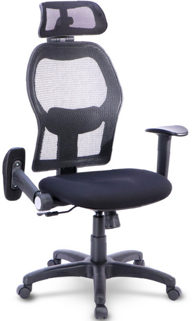 LOGIS 邏爵 F855 立體釋壓大網背電腦椅 辦公椅, 黑