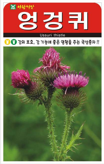 영농사 엉겅퀴 씨앗 100립 재래종 혼합 채종, 1개