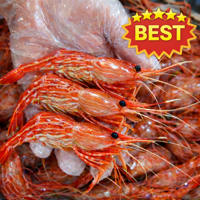 [당일조업] 맛있는 활 독도새우 도화새우 꽃새우 생물 믹스 산소포장, 1개, 500g(20-30미)