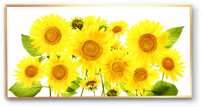 화색갤러리 풍수 인테리어 N028 해바라기 그림 액자 프리미엄 캔버스천으로 인화, 올리브골드