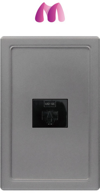 태성전기 베코 보노 다크그레이 8p 1구 콘센트, 1개