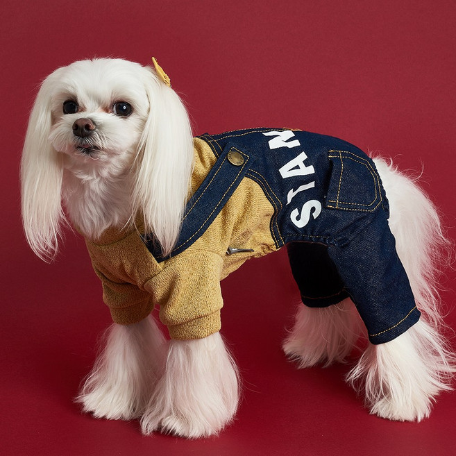 도그아이 애견용 스탠다드 올인원 팬츠, 노랑색, 1개