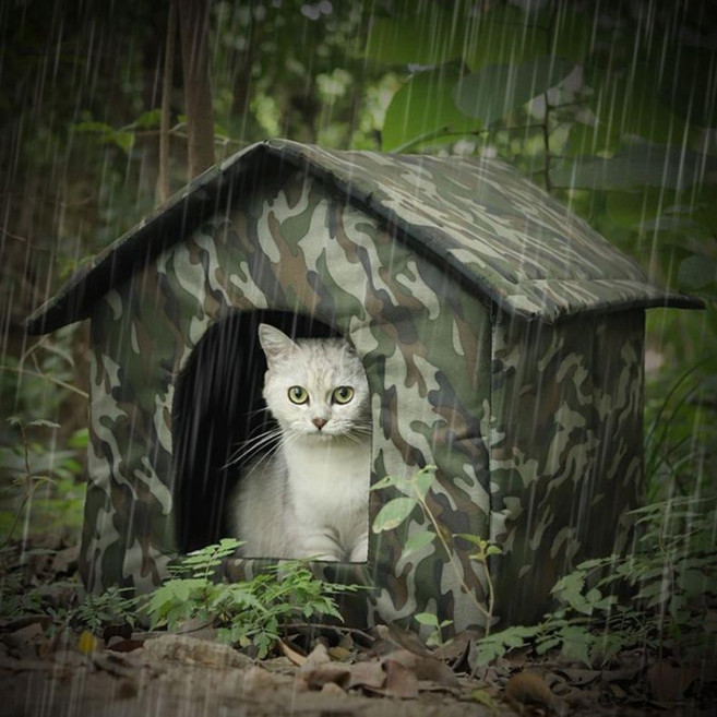 길고양이집 고양이집 길냥이 쉼터 방수 숨숨집, 1개, 밀리터리