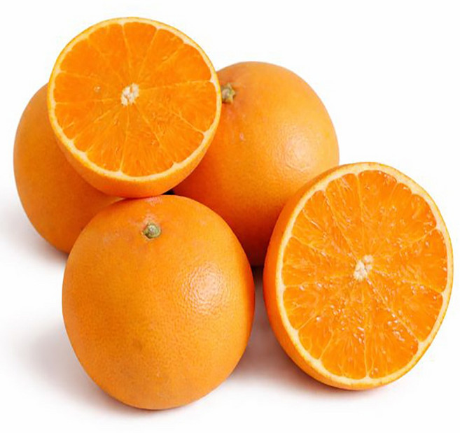 감귤의신 제주 초고당도 천혜향 가정용 선물세트, 1박스, 천혜향 중대과 10kg