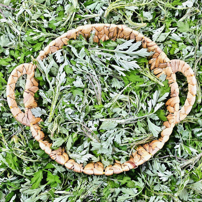 [산지직송] 국내산 향긋한 쑥 제철 봄나물 자연산 노지 생쑥, 1개, 1kg