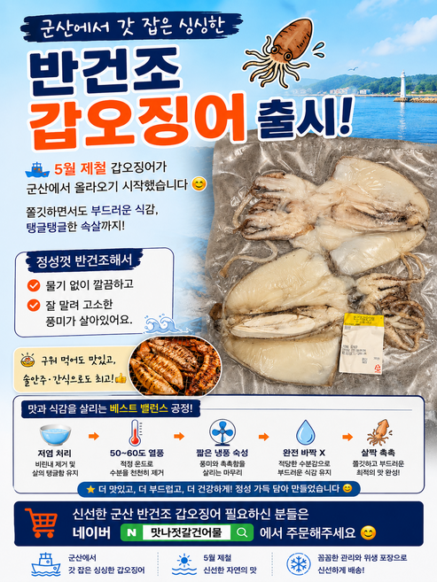 국내산 반건조 갑오징어 군산 직송 사이즈 다양, 2-3미, 400~500g 내외