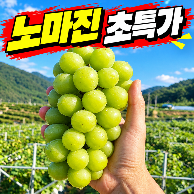 [오늘만한정특가] 산지직송 고당도 샤인머스켓 샤인머스캣포도, 1박스, 5kg (특가)