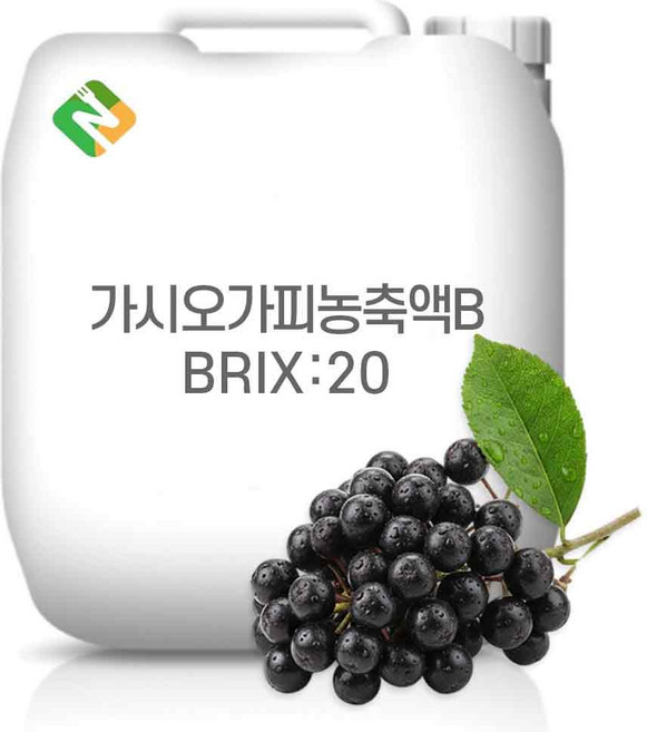 가시오가피농축액 65Brix 200g 샘플, 1개