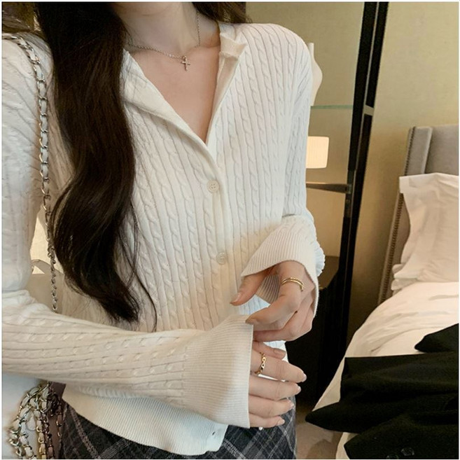 에브리민 얇고 부드러운 꽈배기 니트 기본 레이어드 가디건