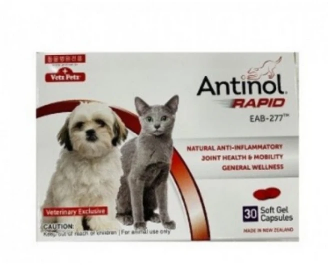 안티놀 래피드 30정 (강아지 고양이 관절영양제), 뼈/관절강화, 1개 - 쿠팡