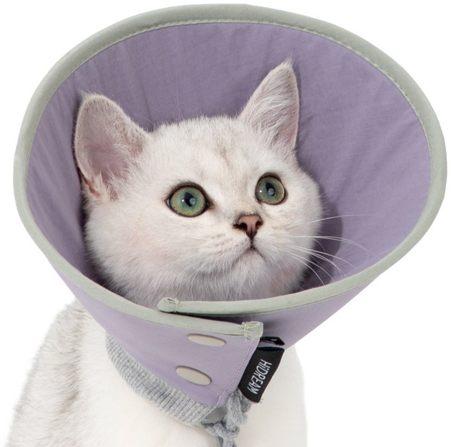 HiDREAM 반려동물 넥카라 깔때기 방수 목보호대 중성화 강아지 고양이 하이드림, 퍼플, 1개