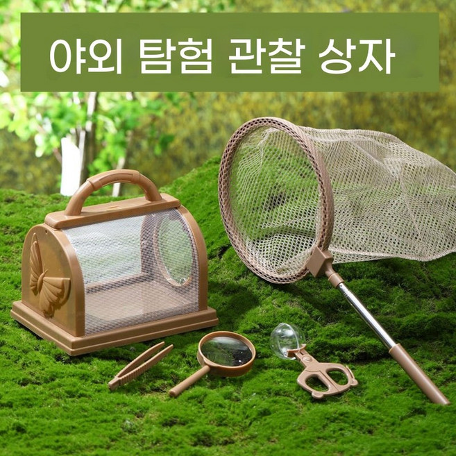 초등학생탐구놀이 어린이 곤충 채집통 관찰통 잠자리채 자연학습 탐험놀이 나비채집 곤충관찰 세트, 1세트