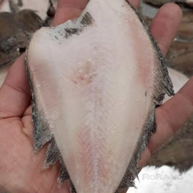 로랑마켓 반건조 참가자미 국내산 20미 손질가자미