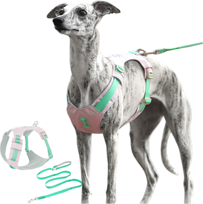 요리죠리하우스 쭈랜드 하네스 리드줄세트 소중대형견, 핑크민트, 1개