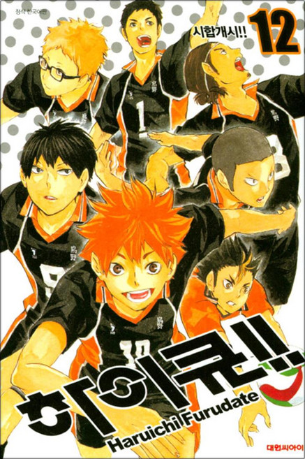 [대원씨아이] 하이큐!! 12권, 단품