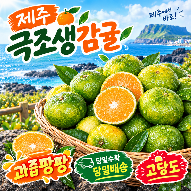 [당일수확/당일발송] 제주 극조생귤 햇귤 고당도 노지 감귤 고당도 로얄과 5kg 1박스, 중과 10kg(M-L)