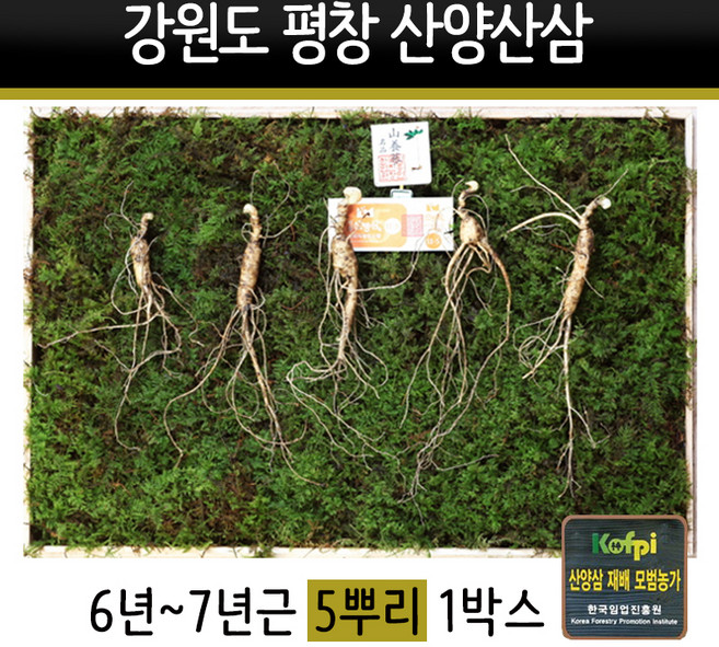 산양삼 선물세트 강원도 평창 야생삼 장뇌삼 7년근 10년근 동인발효삼 선물용 효도선물, 2세트